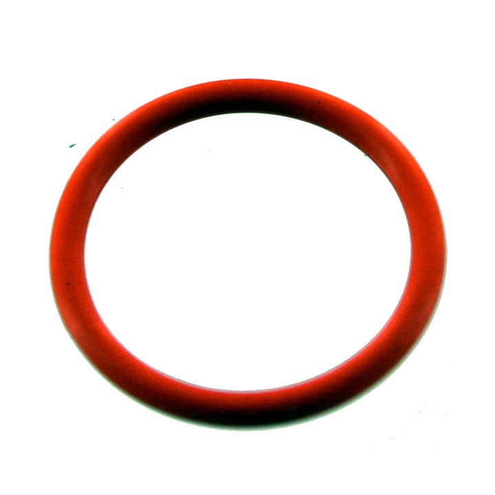017BN70 R10200187 O RING joint DYE PROTO