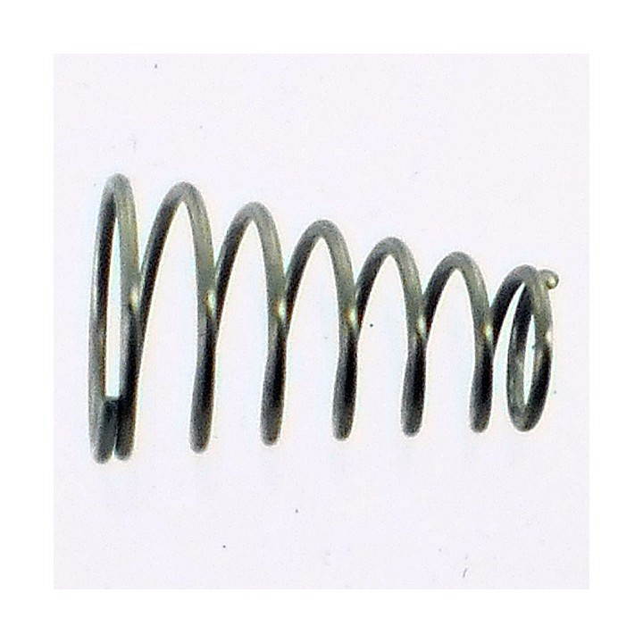 17949 VALVE SPRING [BTSA-37]