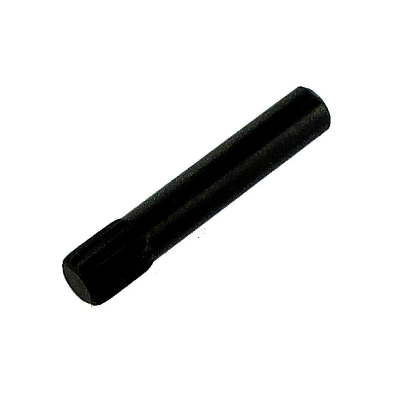 17977 DOOR ROLLER PIN piece BTSA