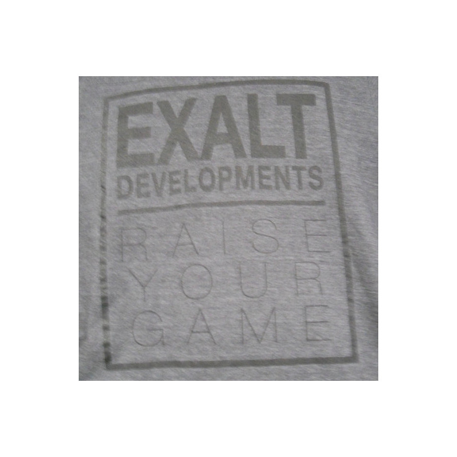 Exalt T Shirt Grey Developpement M