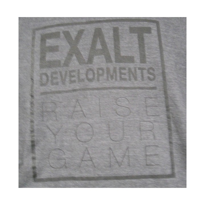 Exalt T Shirt Grey Developpement M