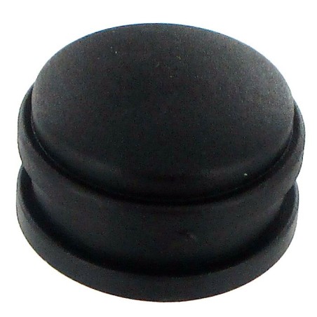 Le rear body plug BT
