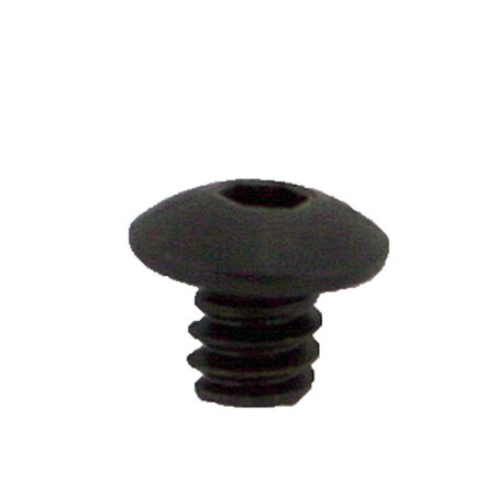 R10202099 EYE PLATE SCREW Piece DM