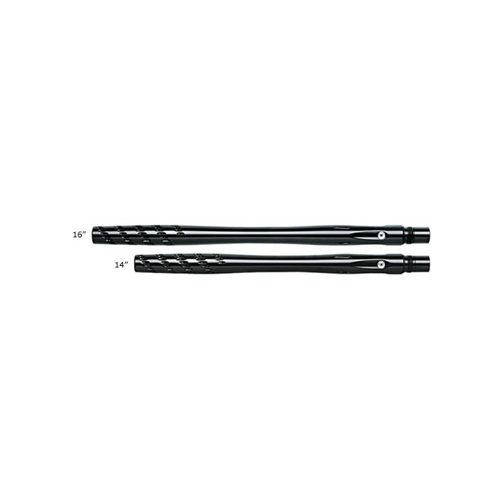 Canon Progressive 2K9 12 Cocker