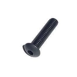 Short Asa Screw BT73 
