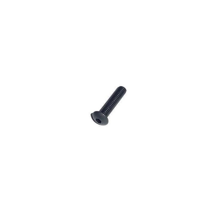 Short Asa Screw BT73 