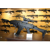 Scorpion Evo3 A1 ASG Custo
