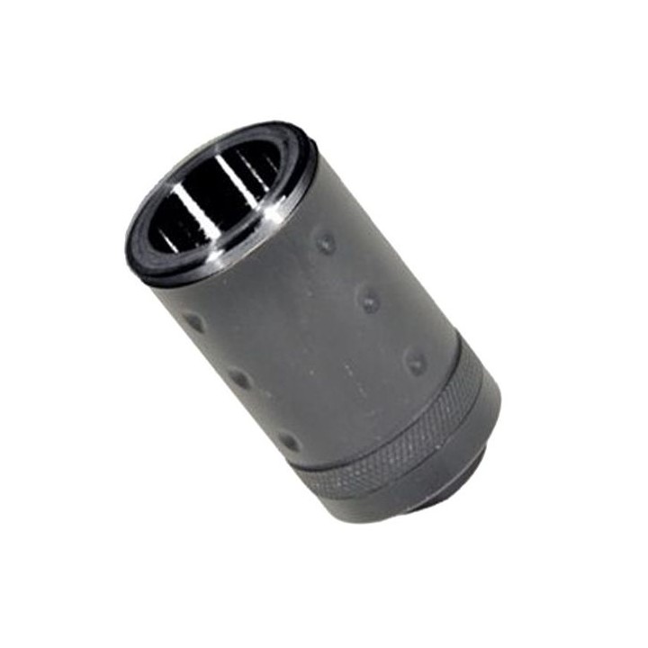 Ampligicateur de son Swiss Arms 