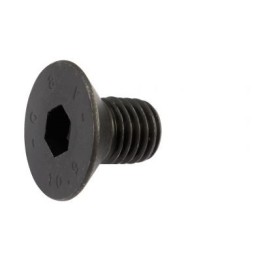 R10200232-CTNSNL-SCREW-Short-DAM