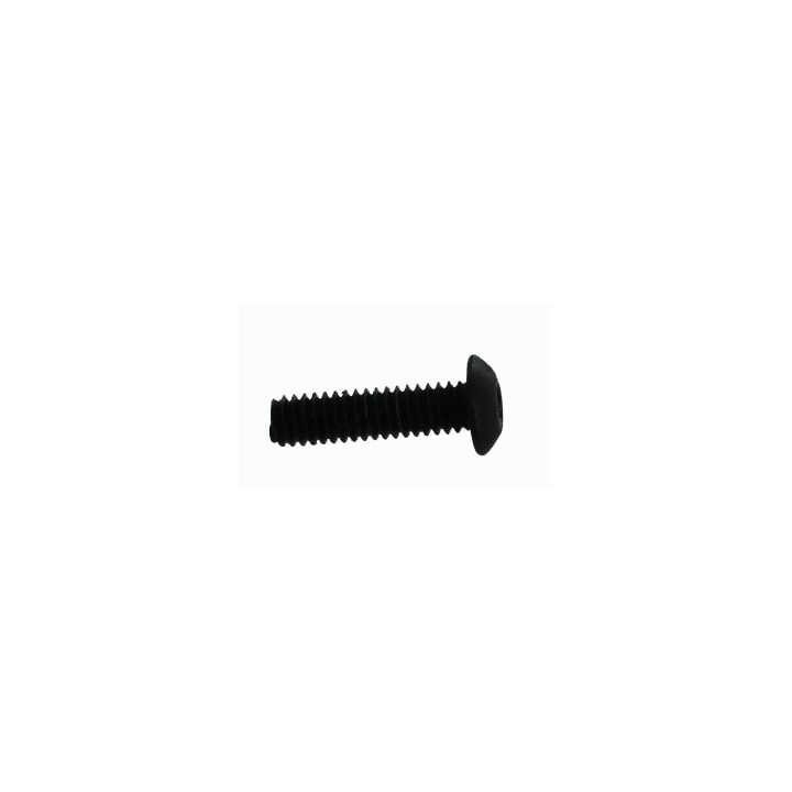 Front Sight Screw SW1 [SW1-69]