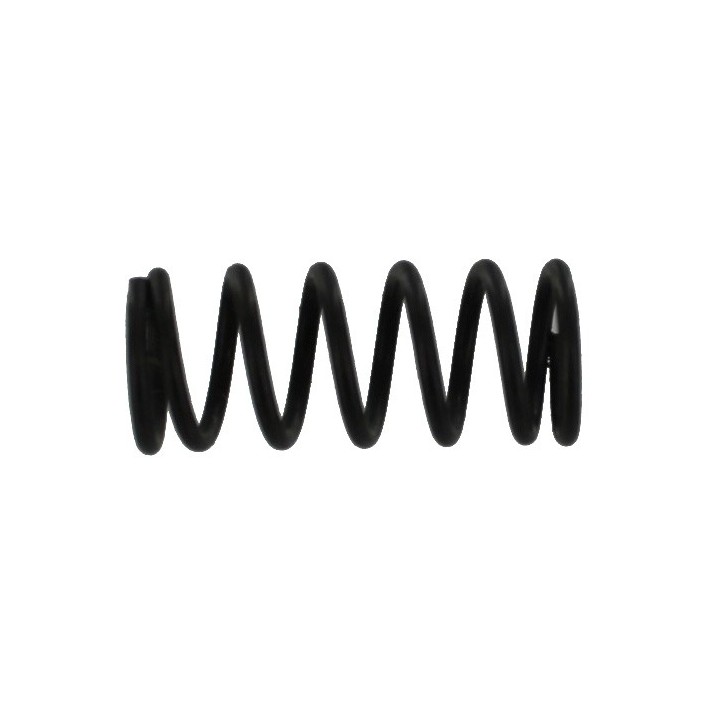 cup seal spring [SW1-46]