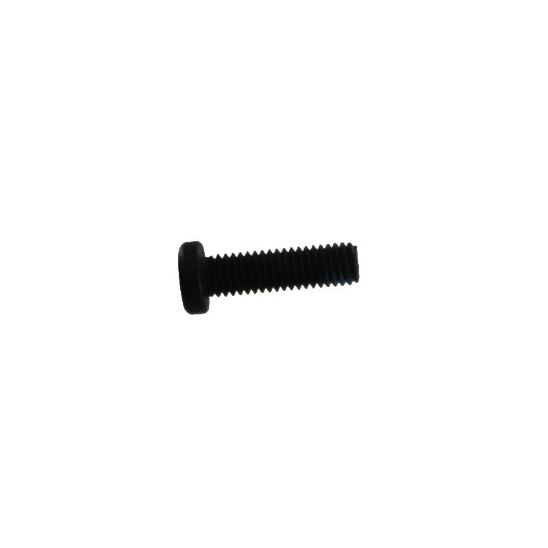 Long Reciver Screw SW1-4 