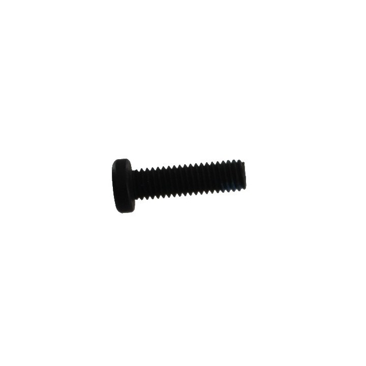 Long Reciver Screw SW1-4 