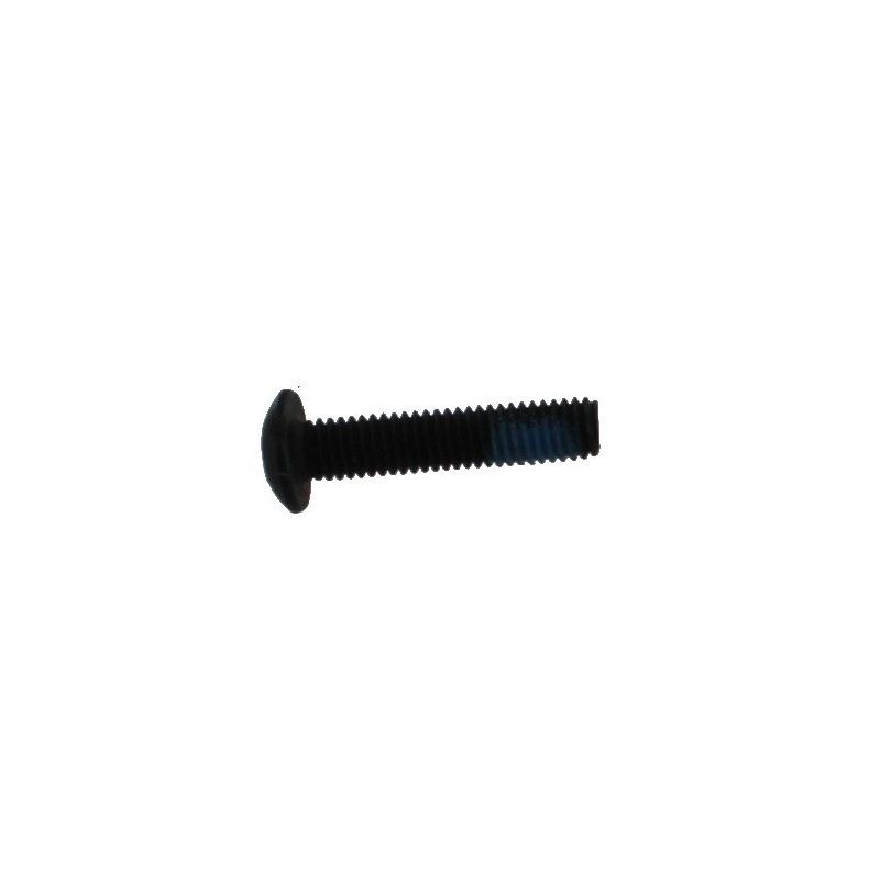 Short Asa Screw SW1 SW1-25 