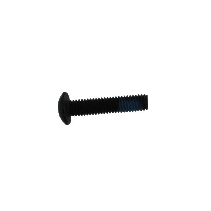 Short Asa Screw SW1 SW1-25 