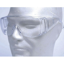 Lunettes SWISS ARMS de...