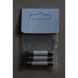 Fusible pour AEG (sachet de 3 pcs)