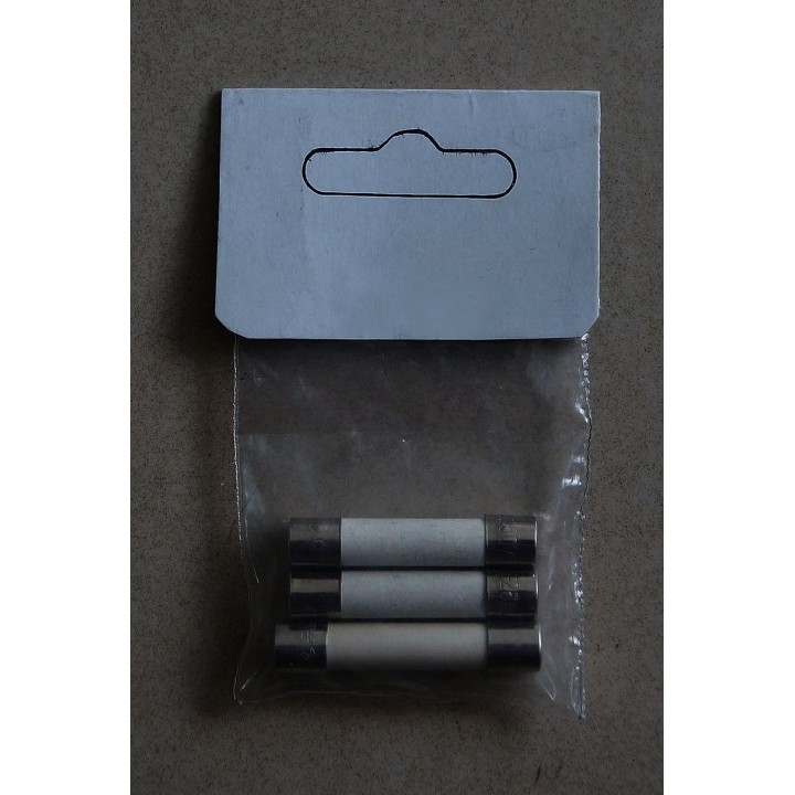 Fusible pour AEG (sachet de 3 pcs) Cybergun f.accessoires Cybergun