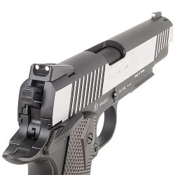 Colt Rail Gun Dual Tone