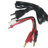 Chargeur de batterie LiPo/ LiFe/ NiMH