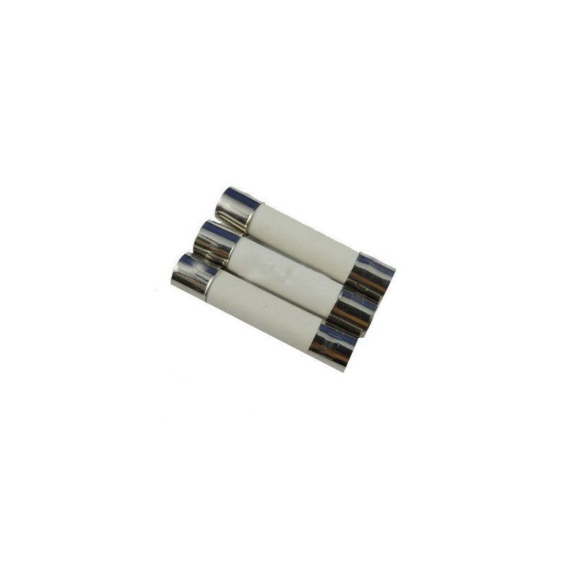 Fusible pour AEG (sachet de 3 pcs)