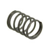 ASG-DAN WESSON RESSORT DE MIRE AR,