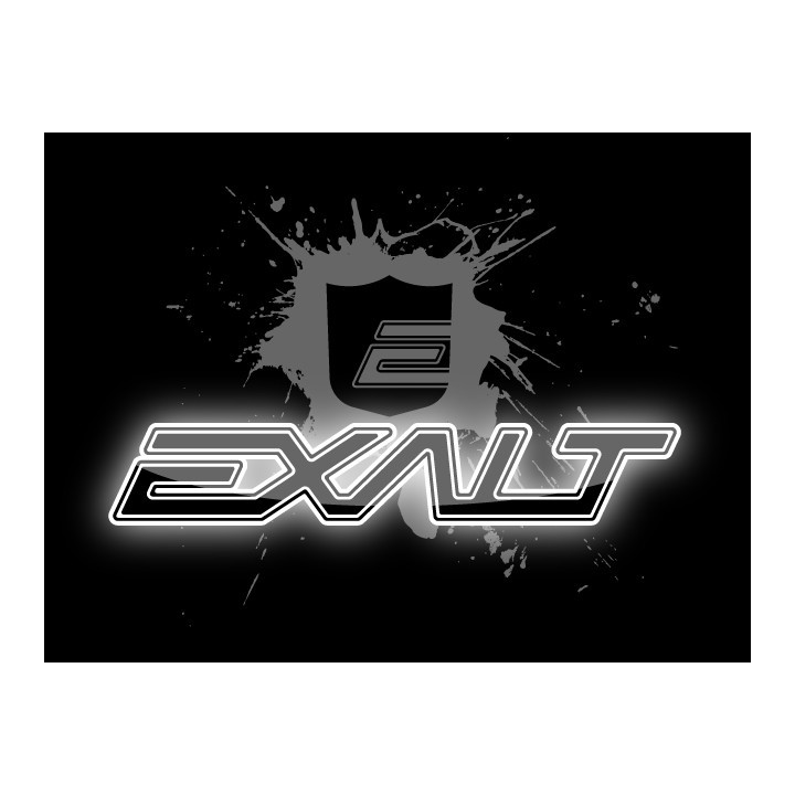 Exalt Paintball Barrel Maid Swab - Lime