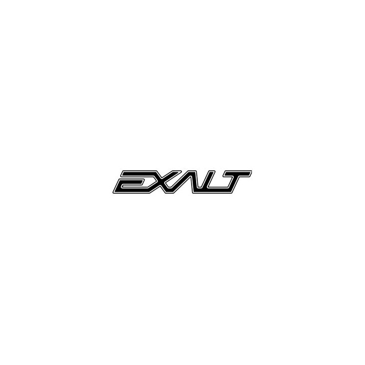 Exalt Paintball Barrel Maid Swab - Lime