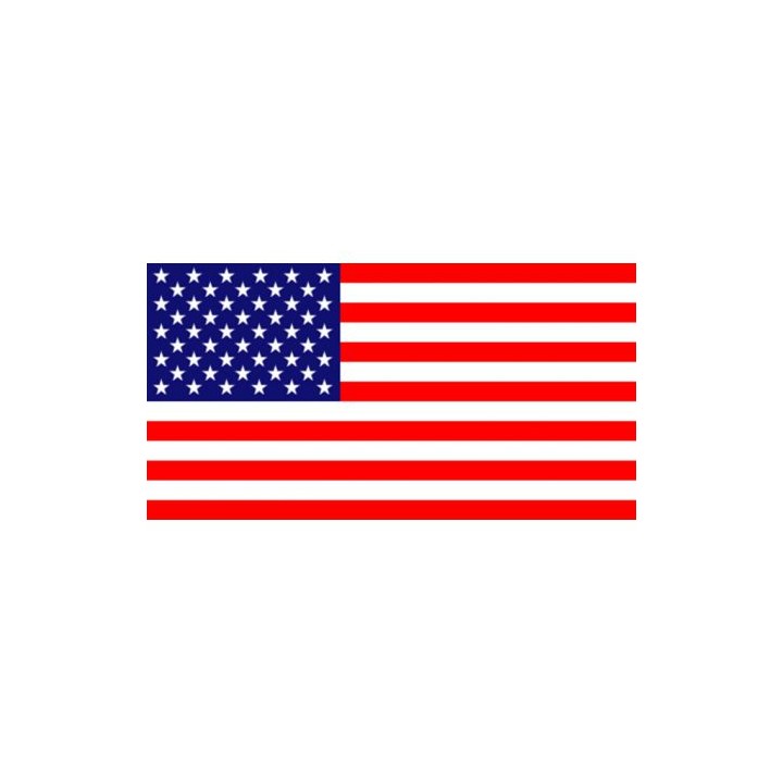 Drapeau Pirate Miltec 