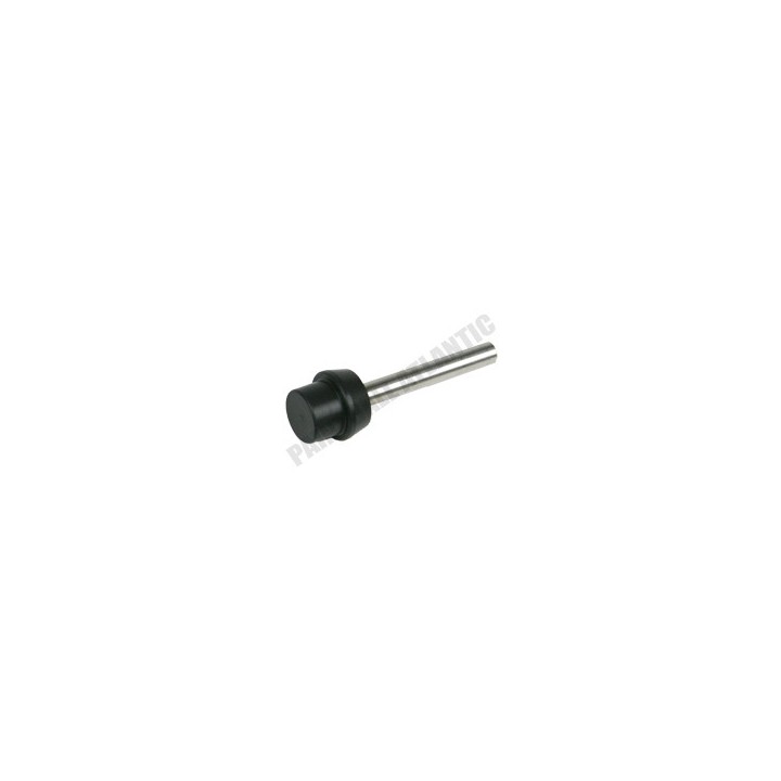 Exhaust Valve EGO