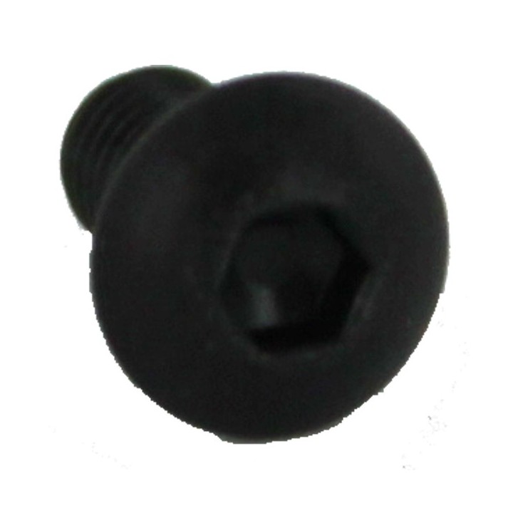 BOLT M3X6 ISO7380-1 (BO30)