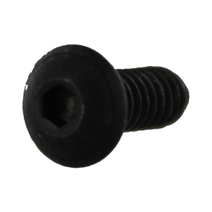 10782 GRIP SCREWS piece BTSA