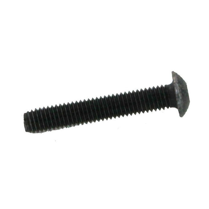S013 M5 X 25L BOTTOM ASA SCREW [AZ-S013]