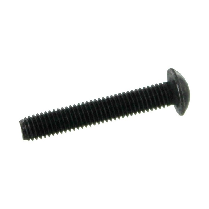 S013 M5 X 25L BOTTOM ASA SCREW [AZ-S013]
