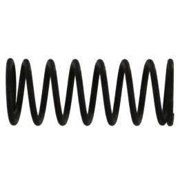 Locking Button Spring (S8)