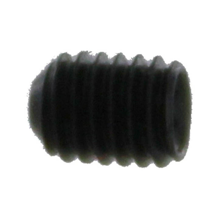 BOLT M3X4 DIN916 (BO13)