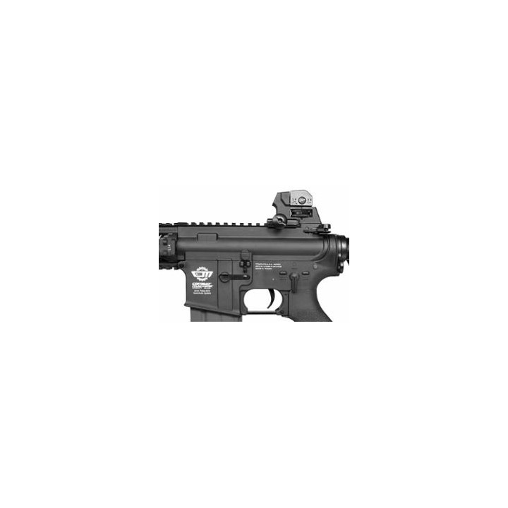 CM16 RAIDER-L BLACK