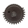 Pignon SR25