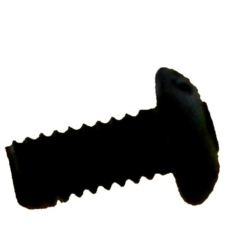 17556 Male