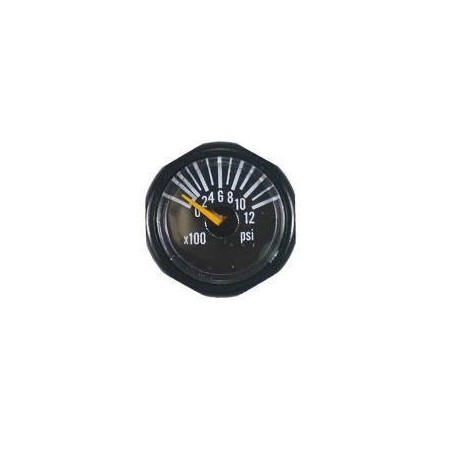 Micro Gauge 1200 PSI Invert