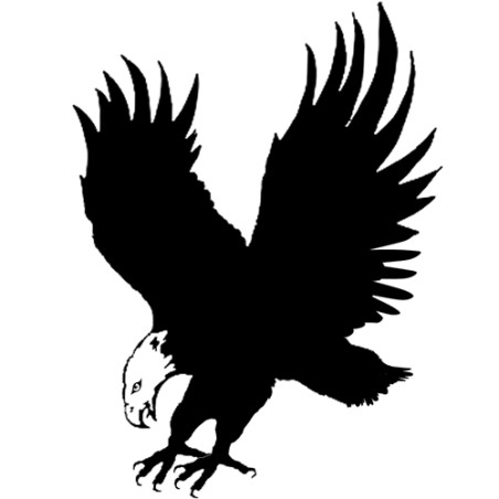 Supreme Classic Barrel Black Eagle Autococker