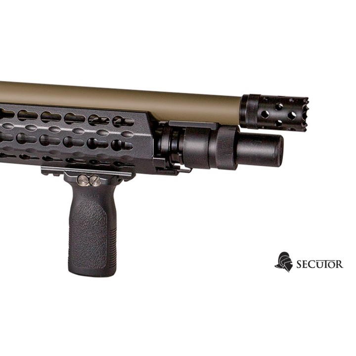 VELITES FERRUM S V  TAN