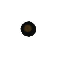 KJWORKS ET ASG FILTRE + POINTEAU (CO2) CM-6 CM-5 CM-7-(asg ai3801/umar ai2145)