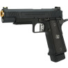 AW EMG/Salient Armes International 2011 DS Hicapa 5,1 Noir