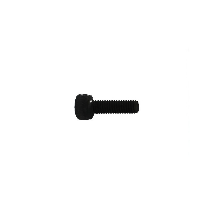Piston Screw for WE Hi-Capa