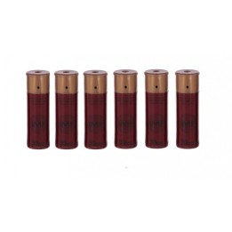 CARTOUCHES  pour fusil a pompe x6