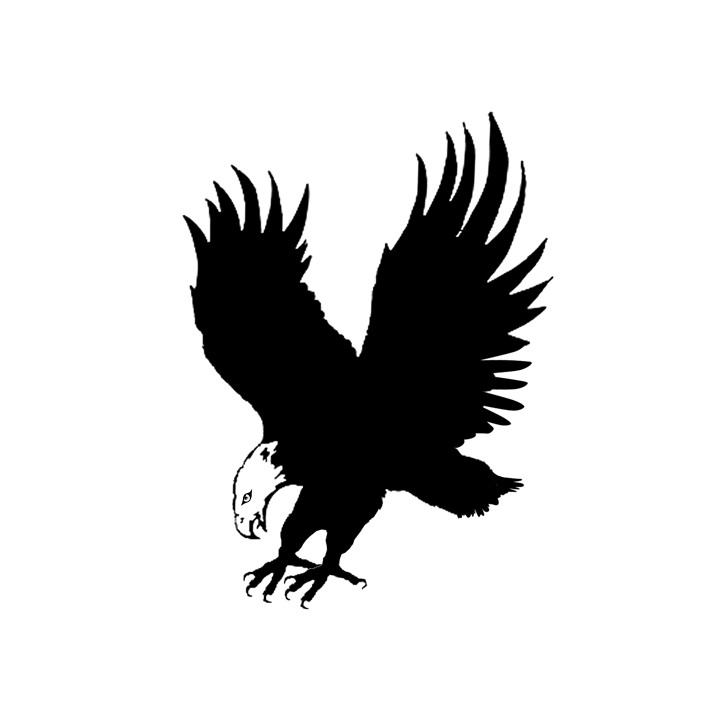 Back Supreme Black Eagle Spyder