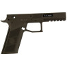 18182 ASG CZ P-09 Ref. 1 Frame