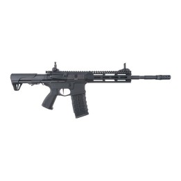 G&G CM16 RAIDER 2.0 DESERT