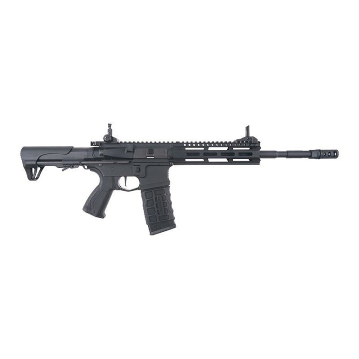 G&G CM16 RAIDER 2.0 DESERT